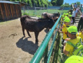 /album/5-trieda7/707910735-2745525049160606-7026848942532546187-n-jpg/